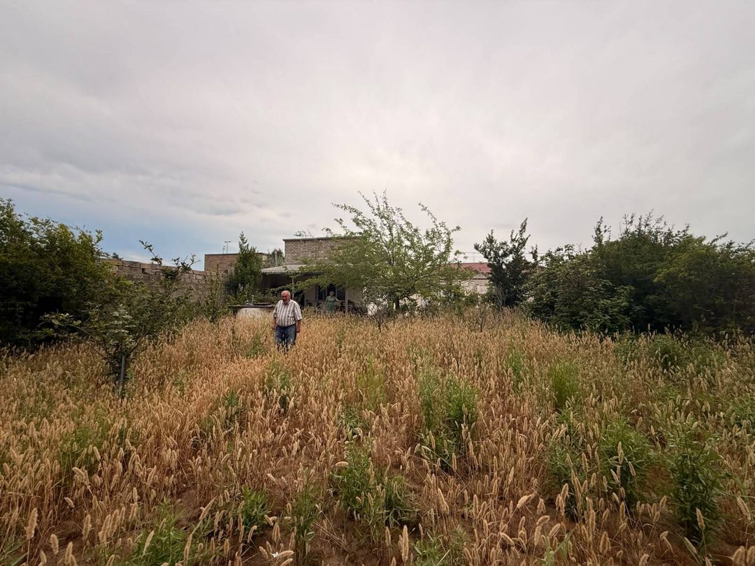 7 sot torpaq sahəsi, Buzovna qəs — Torpaq, Bakı (2)