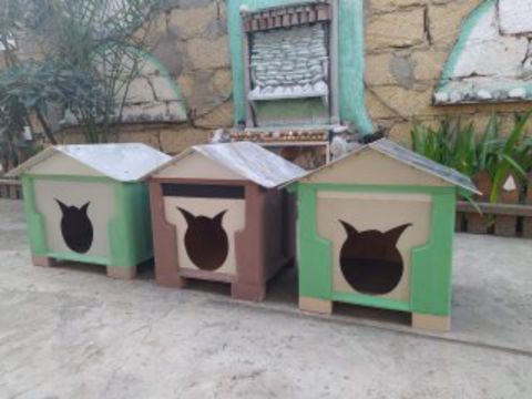 Pişik yuvası — Bakı