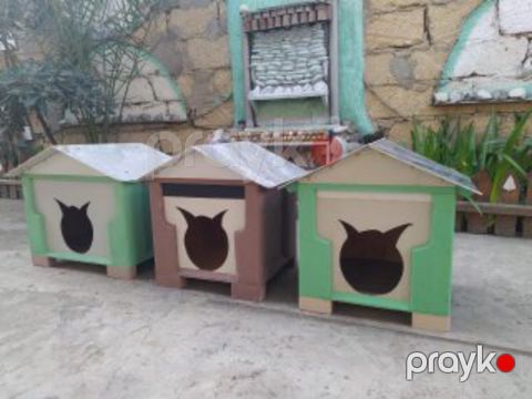 Pişik yuvası — Bakı