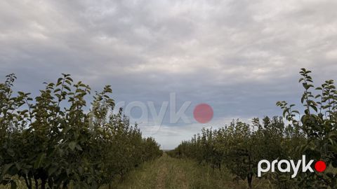 Satılır torpaq 311 sot