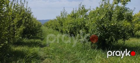 Satılır torpaq 115 sot