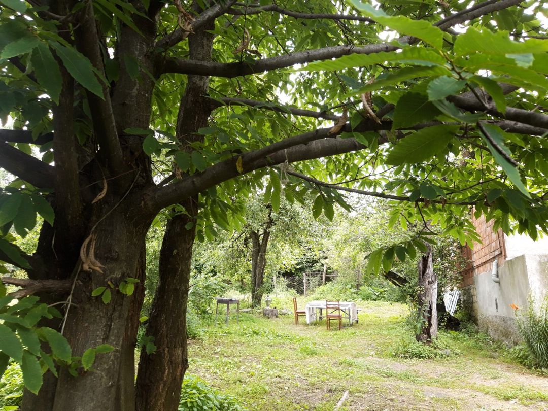 Həyət evi kirayə verilir, İsmayıllı r — Ev, villa, İsmayıllı (3)