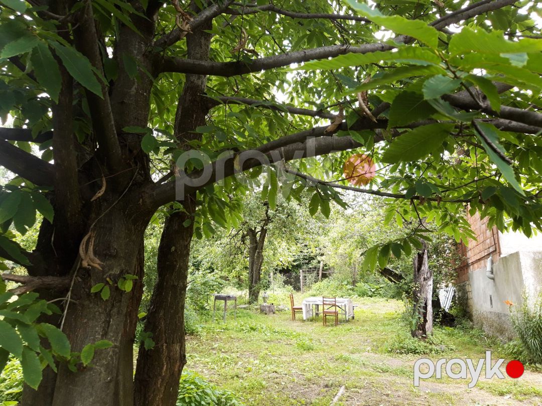 Həyət evi kirayə verilir, İsmayıllı r — Ev, villa, İsmayıllı (3)