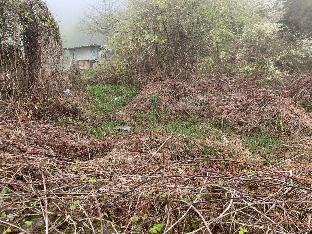 Satılır torpaq 12 sot — Torpaq, Şamaxı (2)