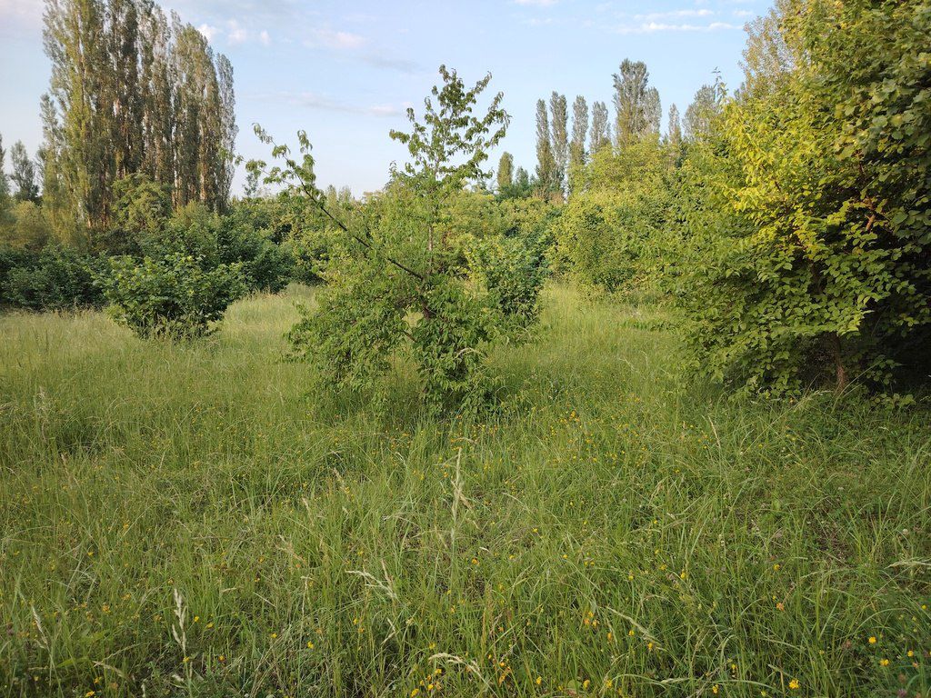 30 sot torpaq sahəsi, Qusar r — Torpaq, Qusar (2)