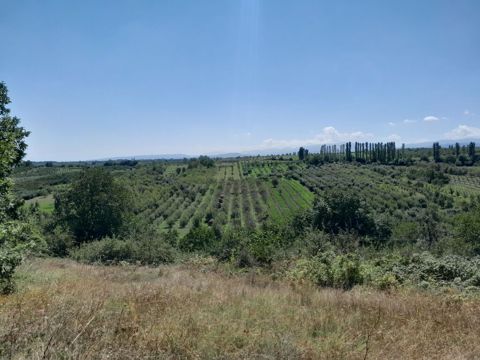 3 otaqlı, Yeni tikili, 60 kv. m — Quba
