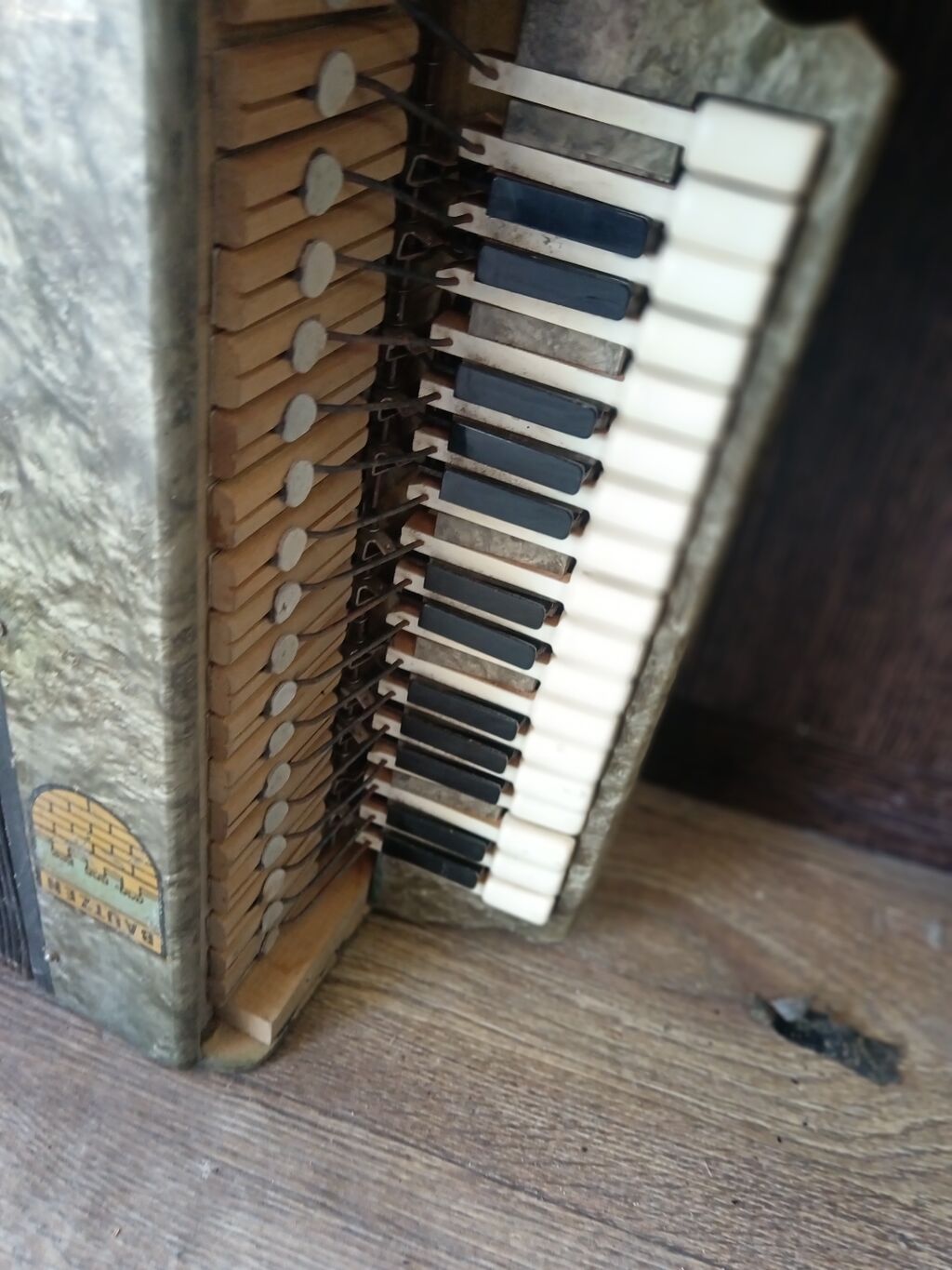 Orta vəziyyətdədir — Akkordeonlar, harmonilar, bayanlar, Bakı (2)