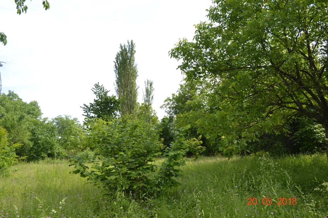 Satılır 4 otaqlı həyət evi/bağ evi 120 m² — Ev, villa, Oğuz (6)