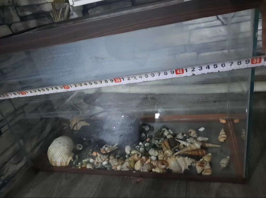 Akvaryum dəsti İçində su filteri suyu təmizləmək üçün ponpası,işığı — Akvariumlar və balıqlar, Bakı (2)