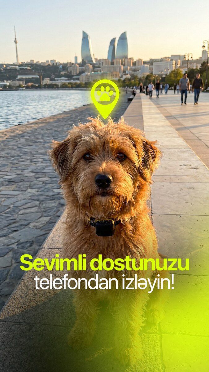 GPS izləmə cihazı — Heyvan malları, Bakı (2)