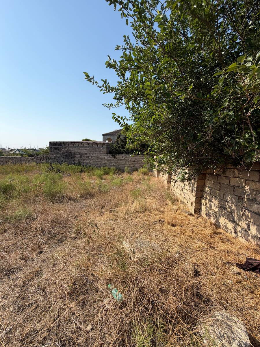 Satılır torpaq 12 sot — Torpaq, Bakı (3)