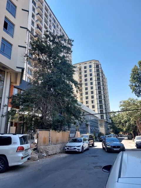 2-otaqlı yeni tikili, Nərimanov r., 86 m² — Bakı