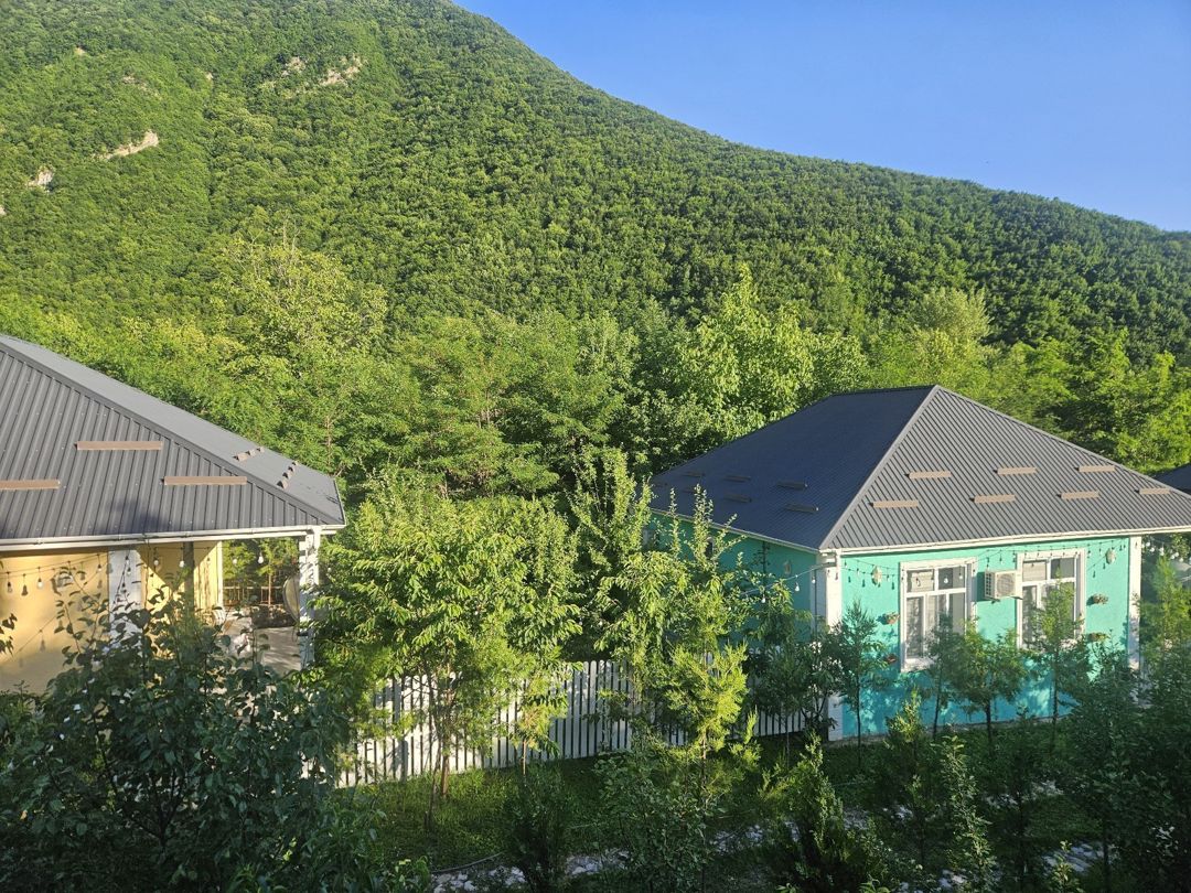 Həyət evi kirayə verilir, Şəki ş — Ev, villa, Şəki (9)