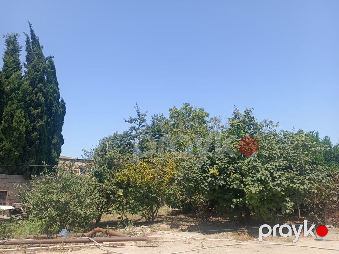 Satış: Torpaq, 6 sot, Abşeron rayonu — Torpaq, Bakı (5)