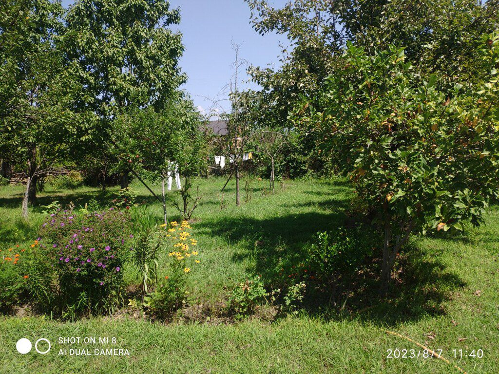 Həyət evi, Yuxarı Tala kəndi — Ev, villa, Zaqatala (3)