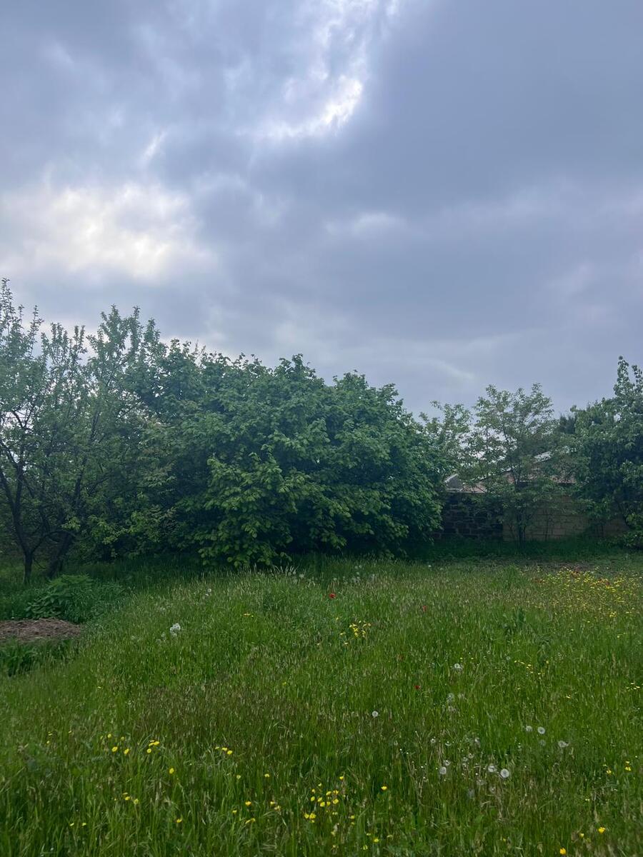 Satılır torpaq 31 sot — Torpaq, Gəncə (7)