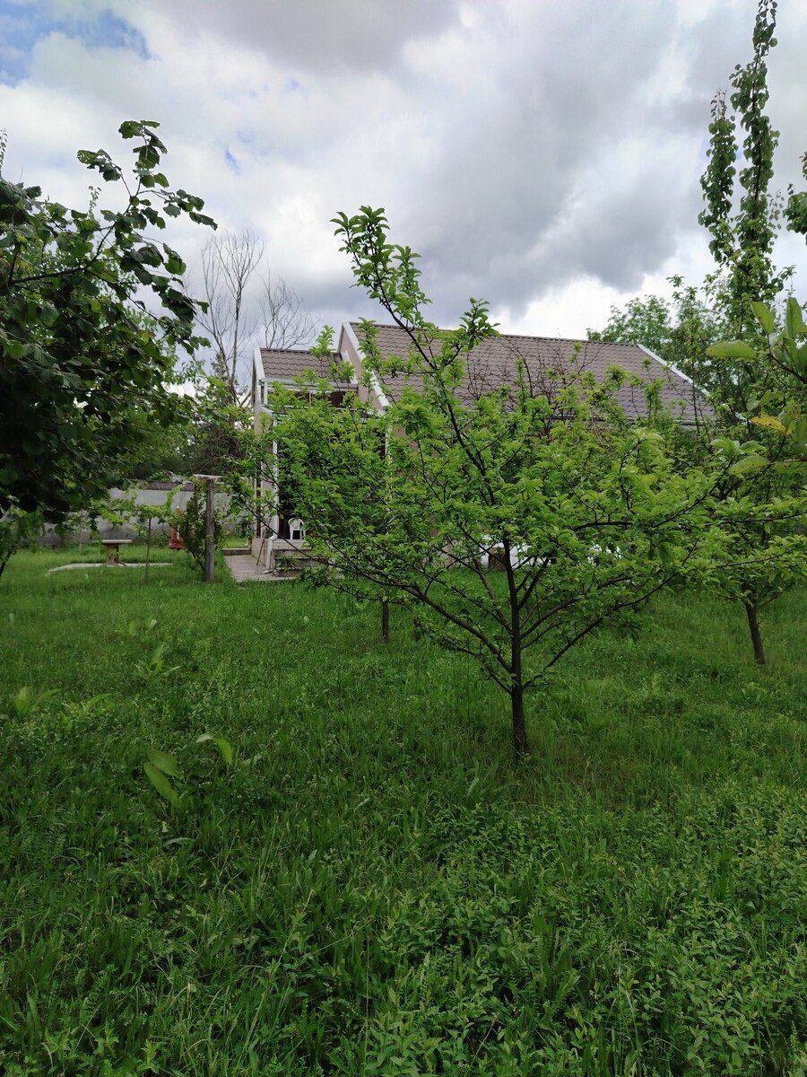 Həyət evi, Qəbələ ş — Ev, villa, Qəbələ (4)