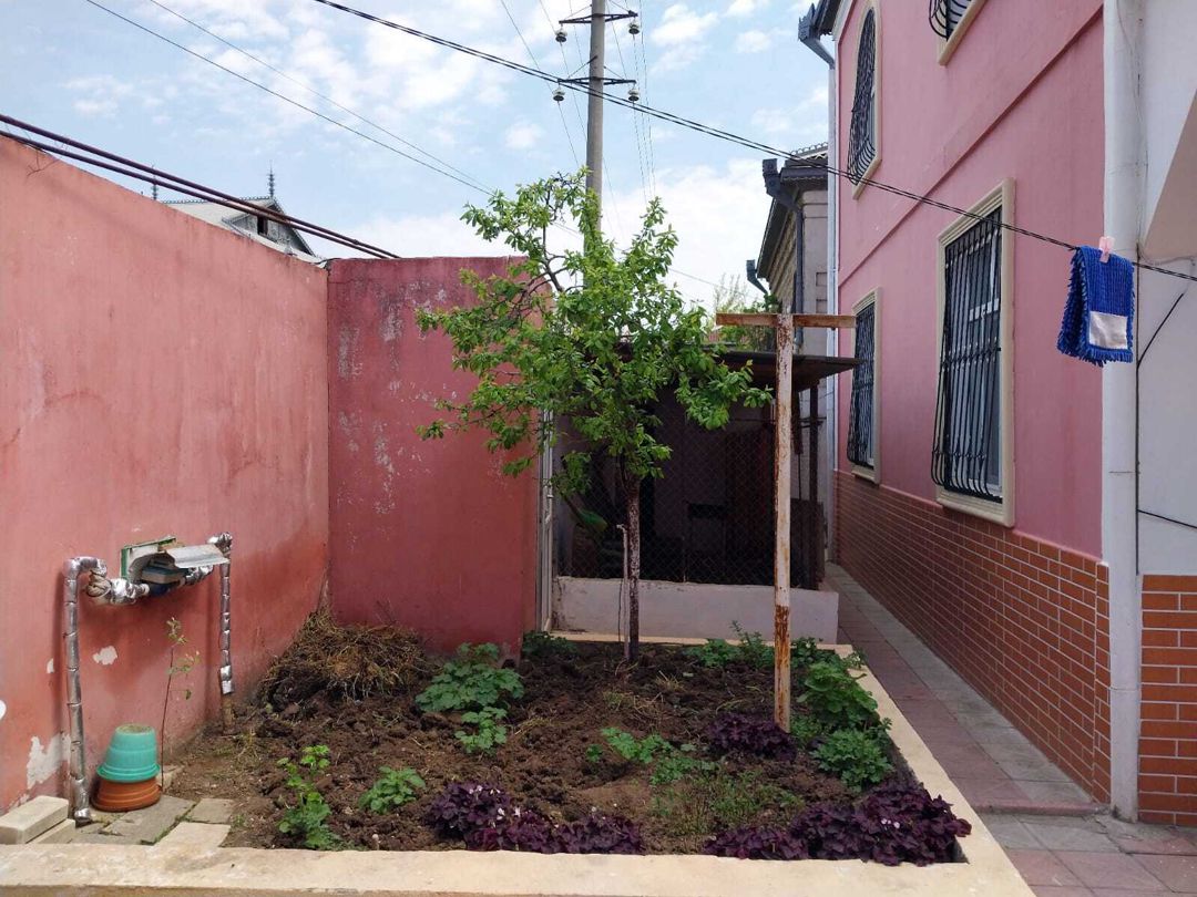 Satılır 6 otaqlı həyət evi/bağ evi 240 m² — Ev, villa, Bakı (4)