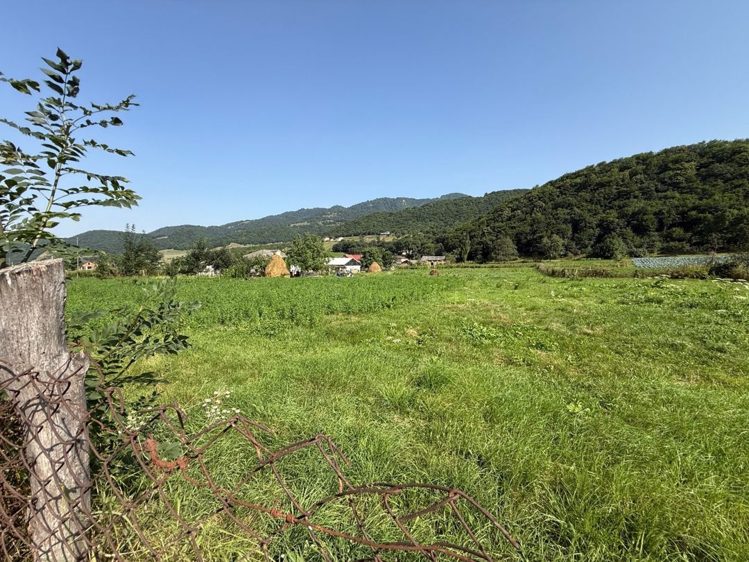 21 sot torpaq sahəsi, Qusar r — Torpaq, Qusar (5)