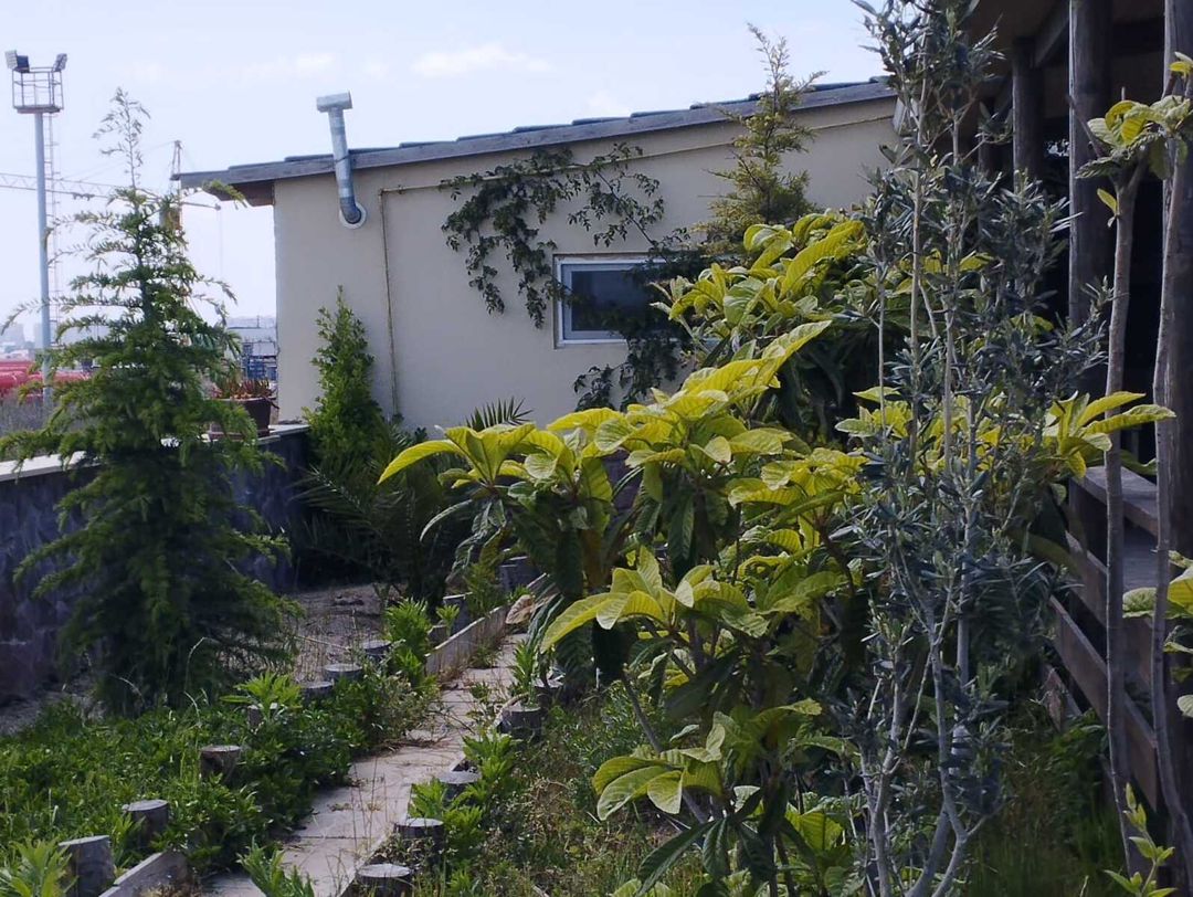 Satılır 6 otaqlı həyət evi/bağ evi 160 m² — Ev, villa, Bakı (5)