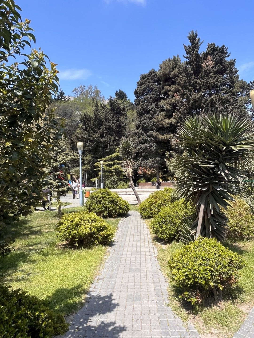 Satılır obyekt 326 m² — Əmlak, Bakı (2)