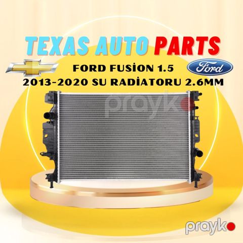 "Ford Fusion" su radiatoru