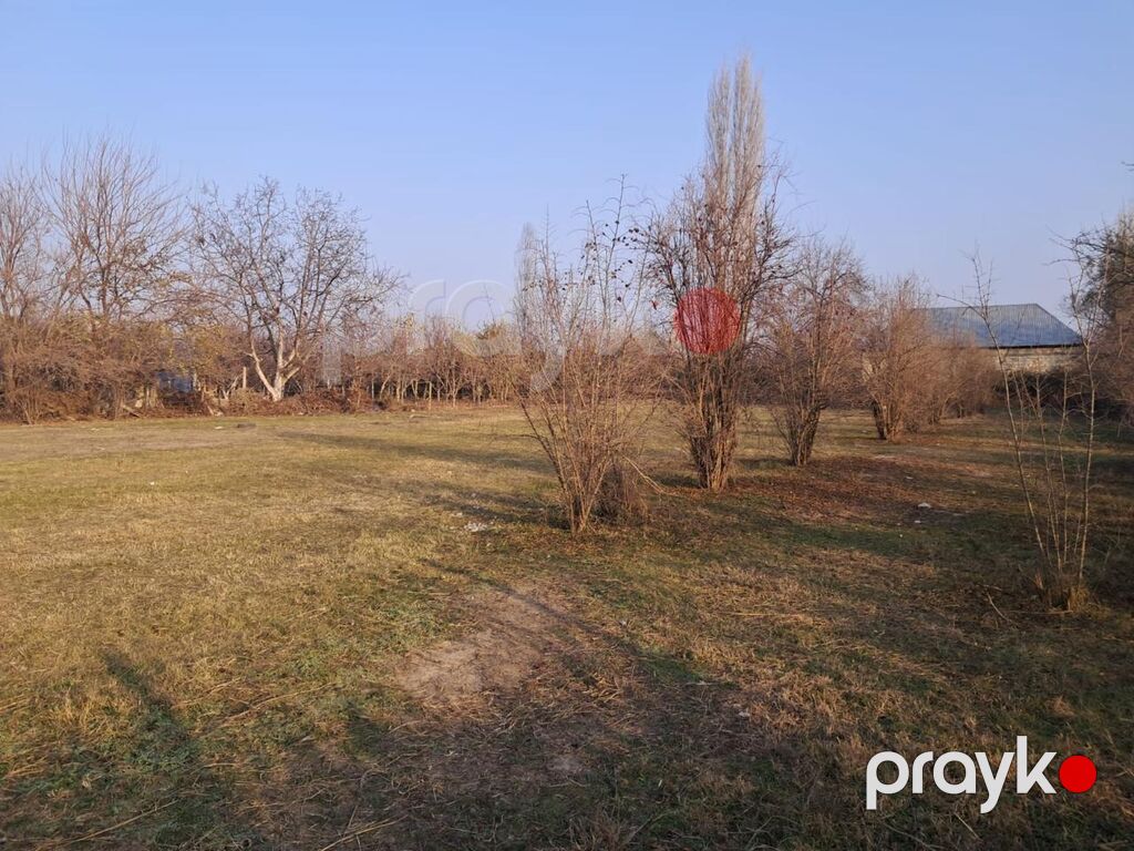 Tikinti — Torpaq, Göyçay (6)