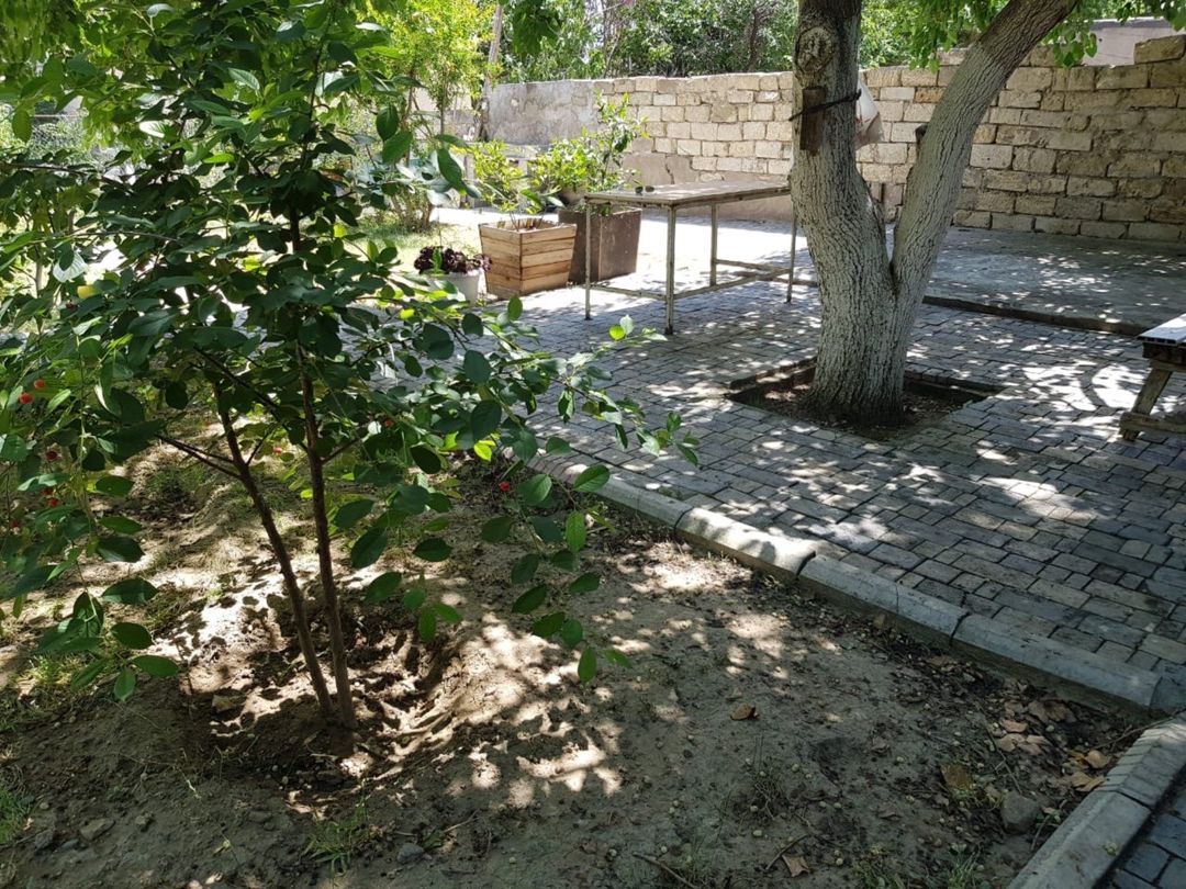 2.2 sot torpaq sahəsi, Yasamal r — Torpaq, Bakı (6)