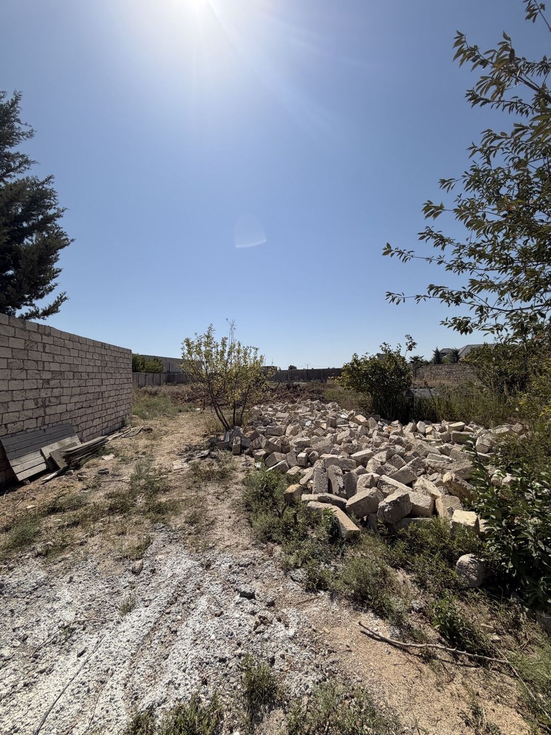 Satılır torpaq 25 sot — Torpaq, Bakı (7)