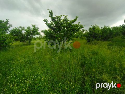 65 sot torpaq sahəsi, Xaçmaz r