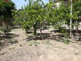 Satılır torpaq 2.9 sot — VillaHome — Torpaq sahəsi