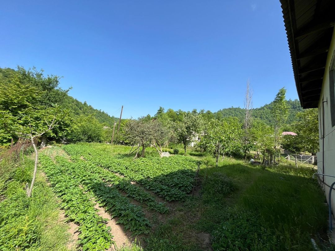 Bağ evi kirayə verilir, Lerik r — Ev, villa, Lerik (5)