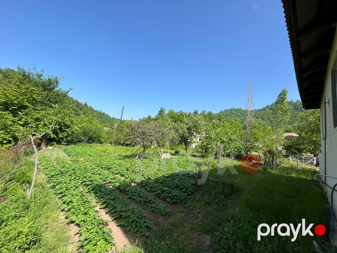 Bağ evi kirayə verilir, Lerik r — Ev, villa, Lerik (5)