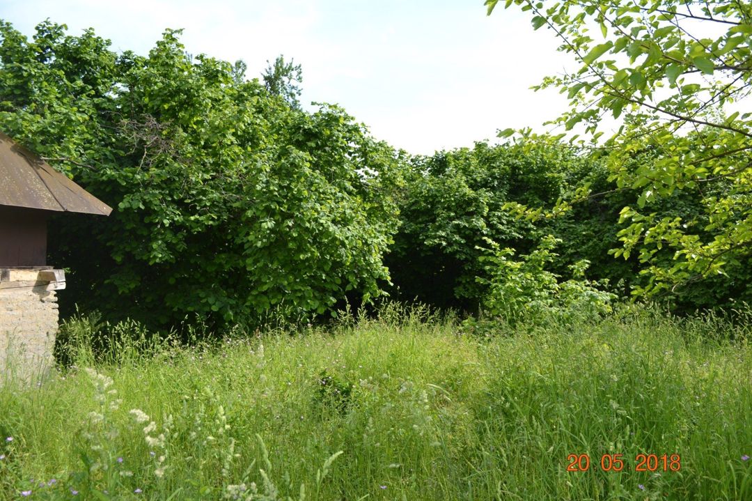 Satılır 4 otaqlı həyət evi/bağ evi 120 m² — Ev, villa, Oğuz (12)