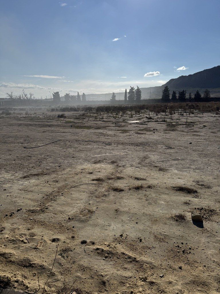 Satılır torpaq 689 sot — Torpaq, Bakı (7)