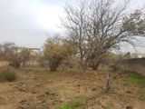 Satılır torpaq 94.5 sot — Qasım