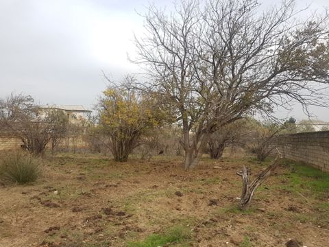 Satılır torpaq 94.5 sot — Bakı