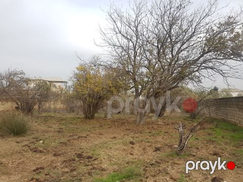 Satılır torpaq 94.5 sot