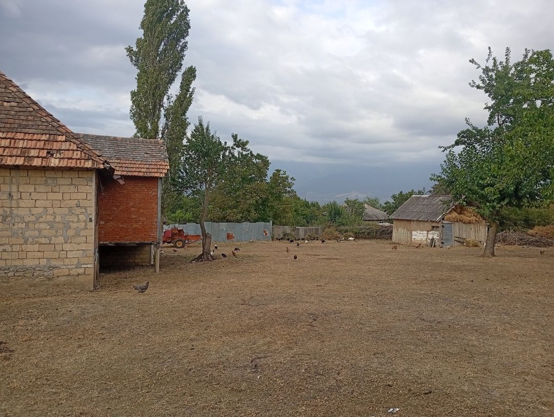 Satılır torpaq 20 sot — Torpaq, İsmayıllı (3)
