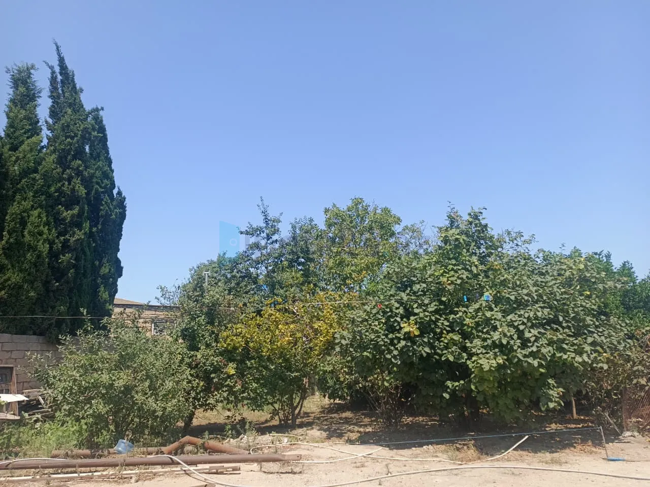 Satılır: Torpaq, Abşeron r., Məhəmmədli q., 6.00 sot — Torpaq, Məhəmmədli (6)