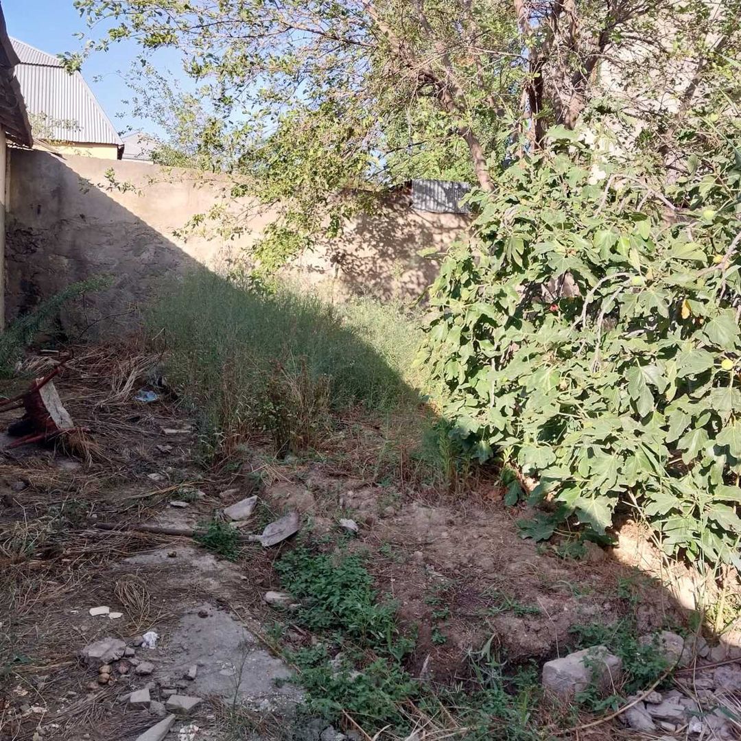 Satılır torpaq 3.6 sot — Torpaq, Bakı (4)