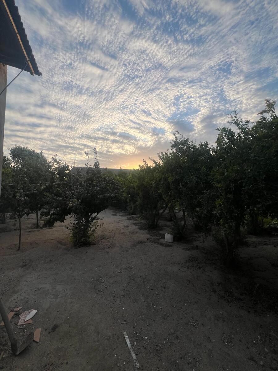 Satılır torpaq 7 sot — Torpaq, Bakı (6)