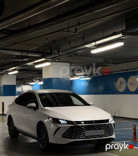 BYD Qin Plus, 2025 il