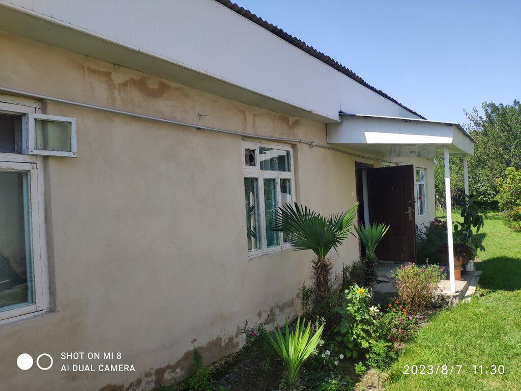 Həyət evi, Yuxarı Tala kəndi — Ev, villa, Zaqatala (10)
