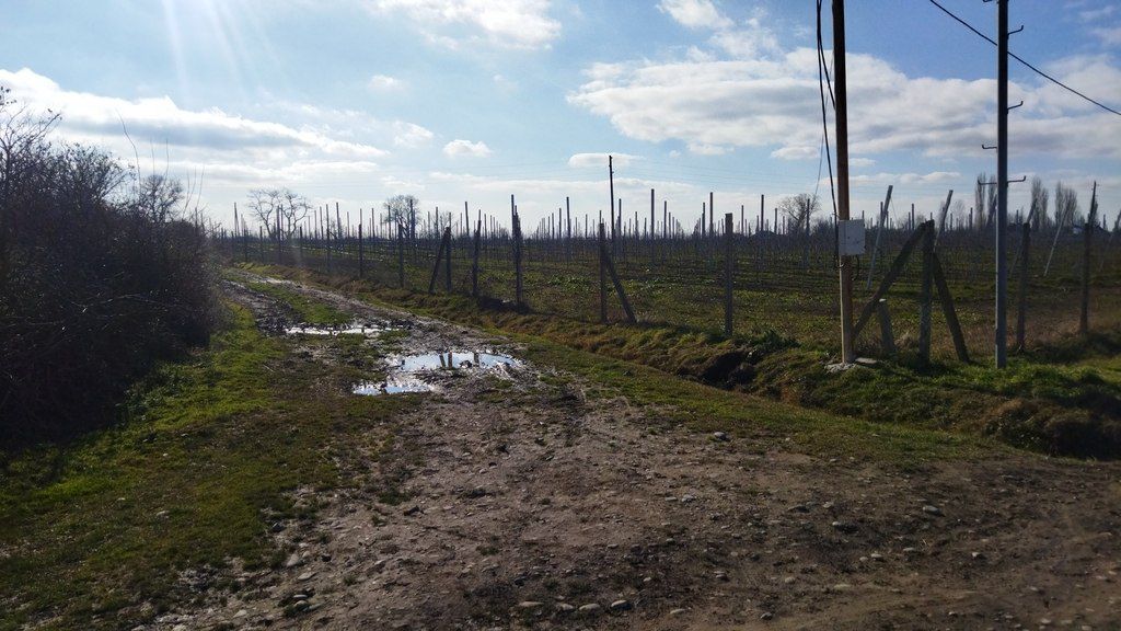 450 sot torpaq sahəsi, Nabran qəs — Torpaq, Xaçmaz (3)