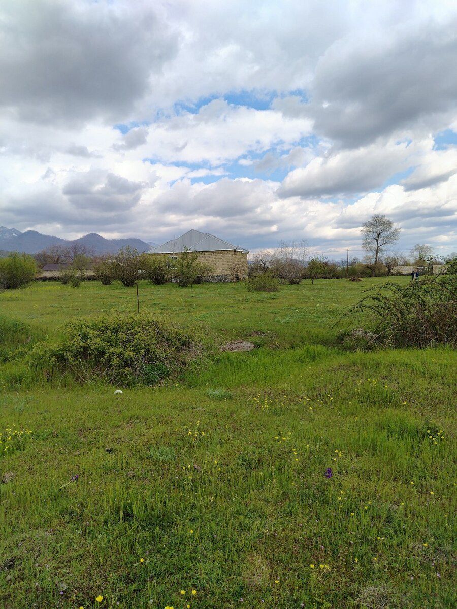 5 sot torpaq sahəsi, Bum qəs — Torpaq, Qəbələ (2)