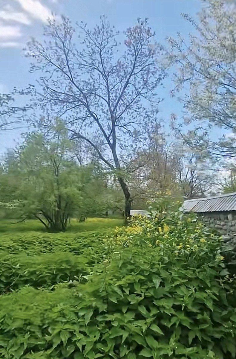 Satılır torpaq 3 sot — Torpaq, Qəbələ (5)