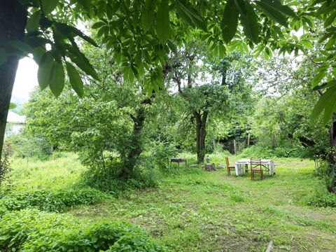 Həyət evi kirayə verilir, İsmayıllı r — İsmayıllı