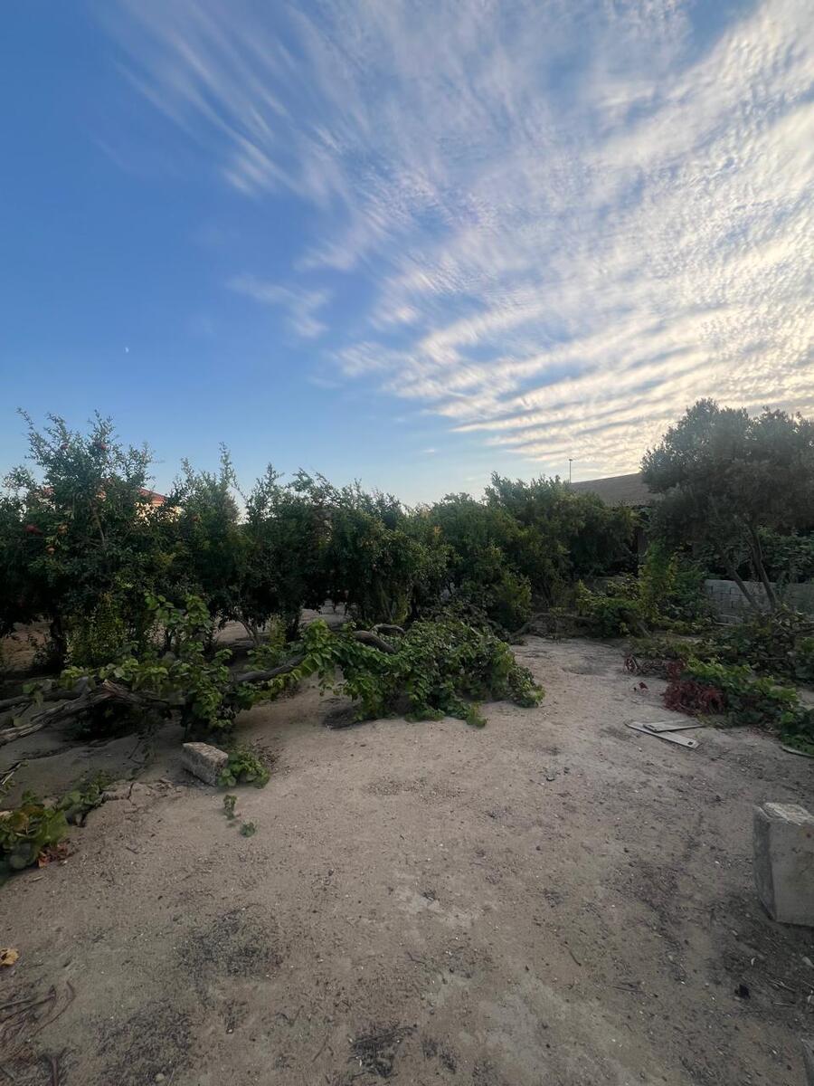 Satılır torpaq 7 sot — Torpaq, Bakı (4)