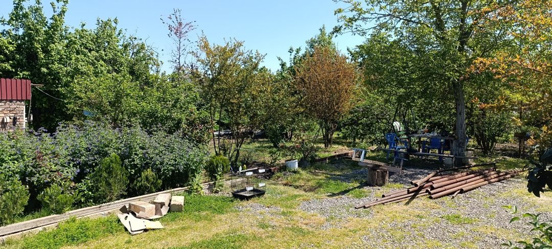 Həyət evi, Cəlilabad r — Ev, villa, Cəlilabad (10)